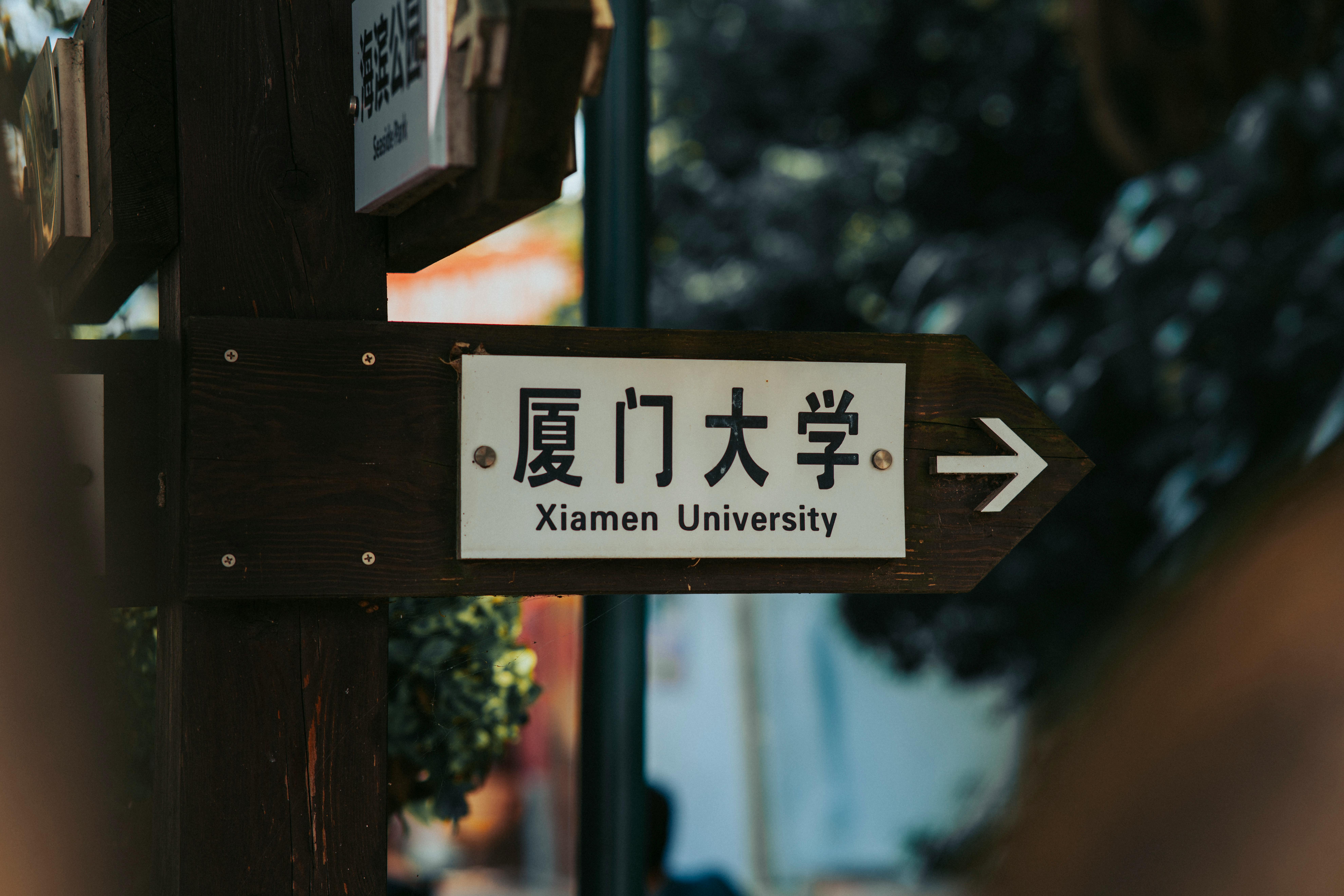 港金信用卡2026年旅遊保險保障大比拼：邊張卡最全面？